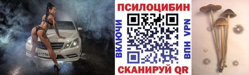 Псилоцибиновые грибы Magic Shrooms Калачинск
